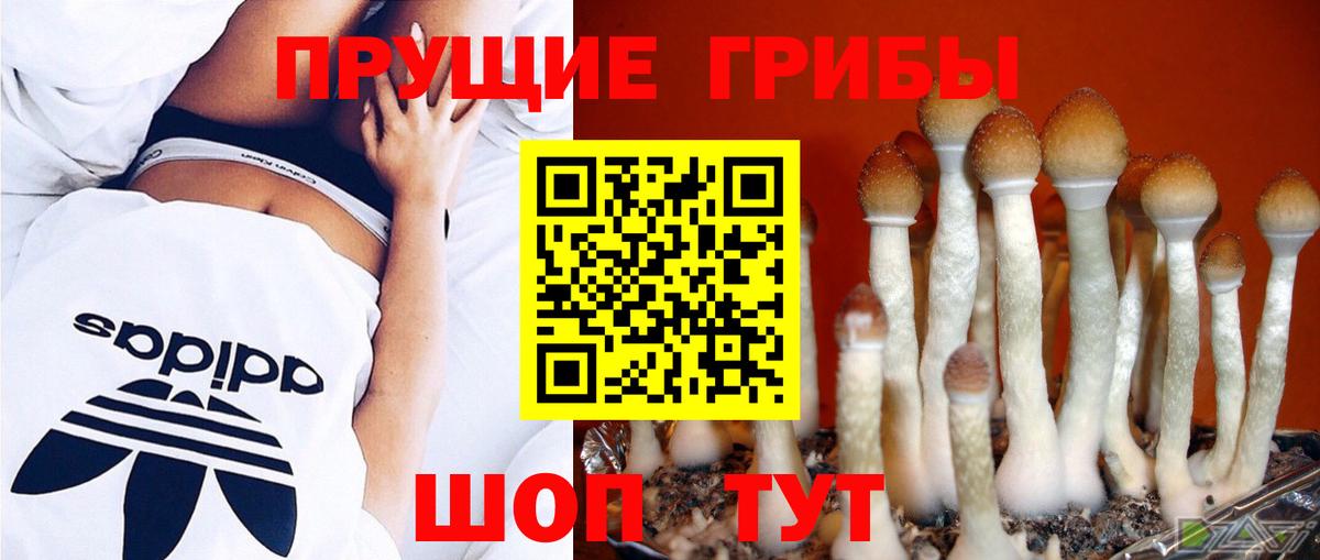 Галлюциногенные грибы GOLDEN TEACHER  Вход с VPN  Нижнекамск 