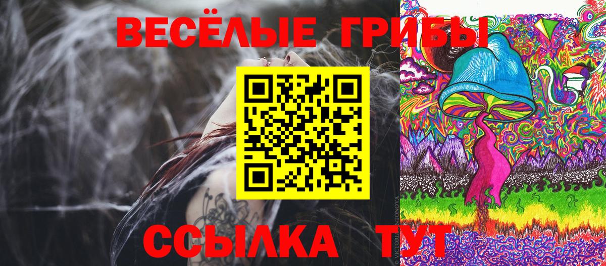 Псилоцибиновые грибы GOLDEN TEACHER Нижнекамск
